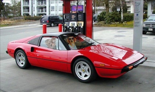 gassing up the Ferrari