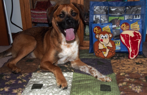 Walter - posing with toys and bag