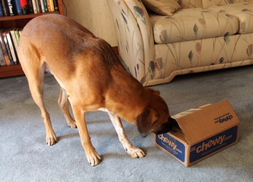 If I could just get my nose in here I can open the box.